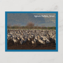 Migrationshintergrund Postkarte