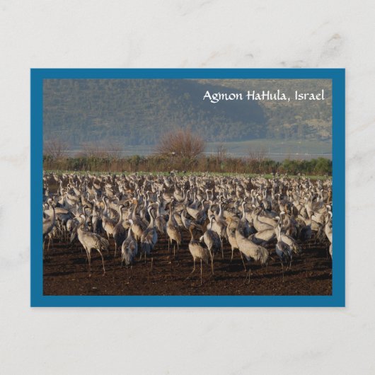 Migrationshintergrund Postkarte (Vorderseite)