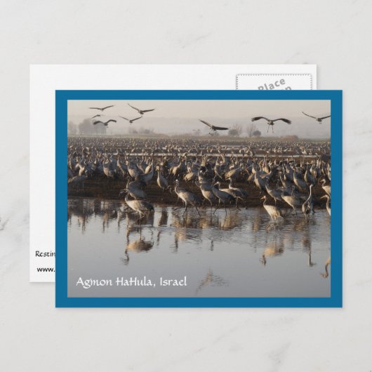 Migrationshintergrund Postkarte (Vorne/Hinten)