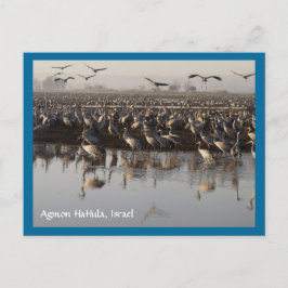 Migrationshintergrund Postkarte