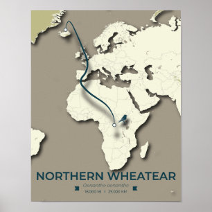 Migrationskarte für Nordatlantik - Minimalistisch Poster