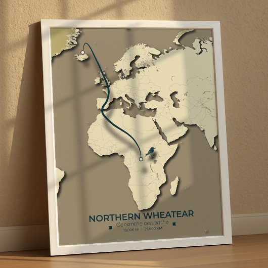 Migrationskarte für Nordatlantik - Minimalistisch Poster