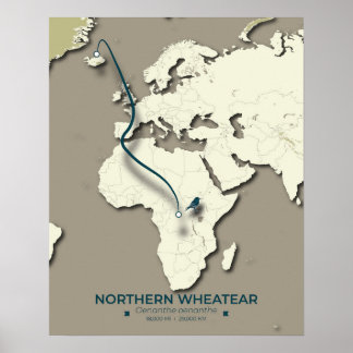 Migrationskarte für Nordatlantik - Minimalistisch Poster
