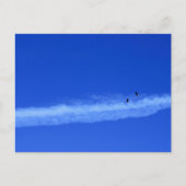 Migrationspartei von Gänsen Postkarte (Vorderseite)