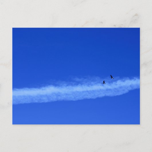 Migrationspartei von Gänsen Postkarte (Vorderseite)