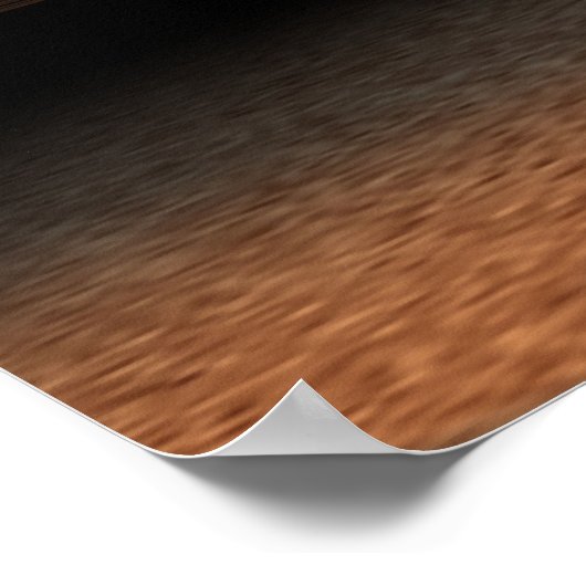 Migumi Poster (Ecke)