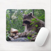 Mika der Waschbär Mousepad (Mit Mouse)