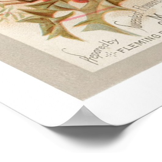 Mikado Cologne Poster (Ecke)