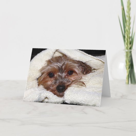 Mikayla Karte (Vorderseite)