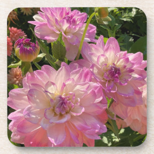 Mikayla Miranda Dahlia, Atemberaubende Lila Blume Getränkeuntersetzer