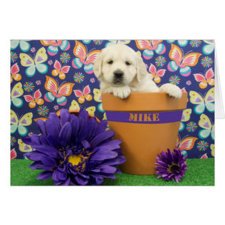 Mike, Foto der Woche 5