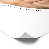 Mike Huckabee Kostume Poster (Ecke)