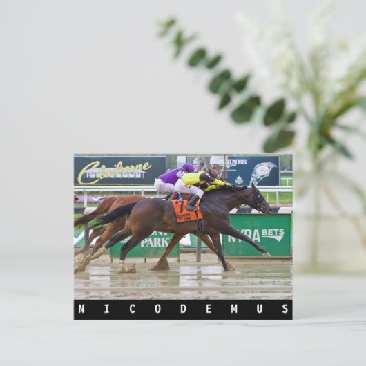 Mike Luzzi - Nicodemus Postkarte (Stehend Vorderseite)