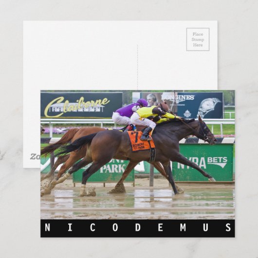 Mike Luzzi - Nicodemus Postkarte (Vorne/Hinten)