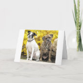 Mike & Molly's Wedding Ankündigung (Rückseite)