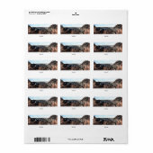 Mike O'Callaghan-Pat Tillman Memorial Bridge Adressaufkleber (Vorne)