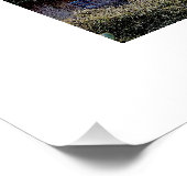 Mikeith Trucks Poster (Ecke)