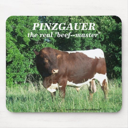 MikeMousepad-fertigen Sie besonders an Mousepad (Vorne)