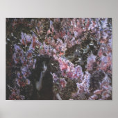 Mikhail Vrubel - Die Lilacs Poster (Vorne)
