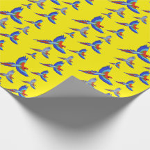 Mikitiez Papagei Hawaii Sommer Sonnenuntergang Str