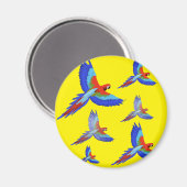 Mikitiez Papagei Hawaii Sommer Sonnenuntergang Str Magnet (Vorderseite/Rückseite)