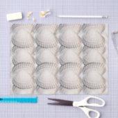 Mikitiez Sommervenus Muschel Strand Seidenpapier (Handwerk)