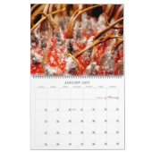 Mikro-ASMR: Entfrosten Sie Kalender (Jan 2027)