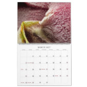 Mikro-ASMR: Entfrosten Sie Kalender (Mär 2027)