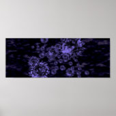 Mikroben Poster (Vorne)