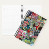 Mikrobenkaleidoskop: Eine Kolonie in Farbe Planer (Anzeige)