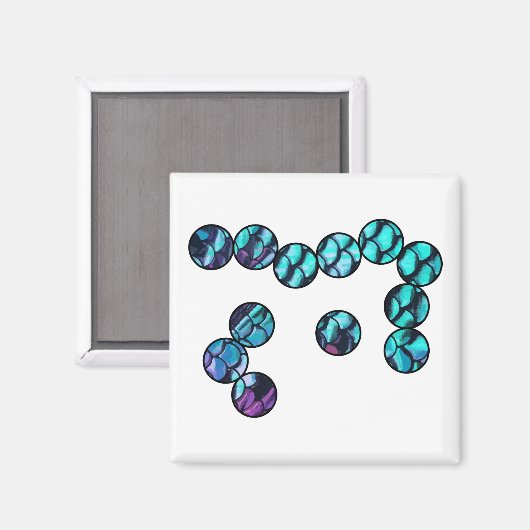 Mikrobenmagnet Magnet (Vorderseite/Rückseite)