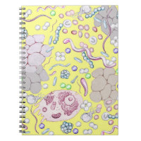 Mikrobiologie in Gelb