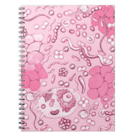 Mikrobiologie in Rosa
