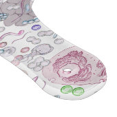 Mikrobiologie-Schneidebrett Schneidebrett (Ecke)