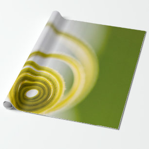 Mikrofotografie von Pflanze Geschenkpapier