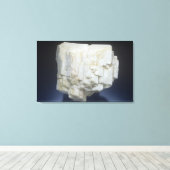 Mikroklon Leinwanddruck (Insitu (Holzboden))