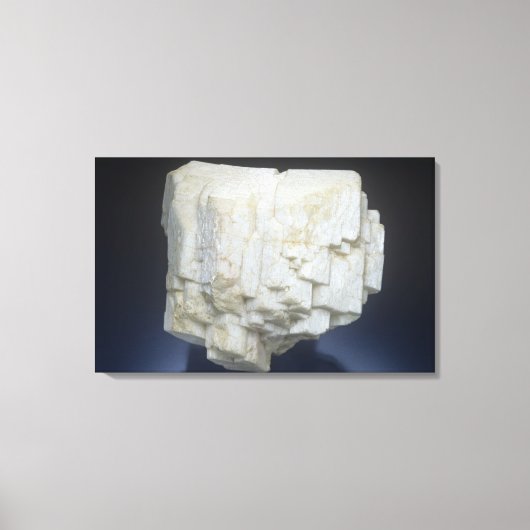 Mikroklon Leinwanddruck (Vorderseite)