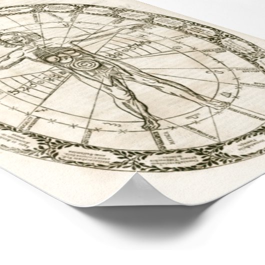 Mikrokosmos-Illustration Poster (Ecke)