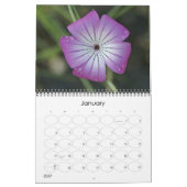 Mikrokosmos Kalender (Jan 2027)