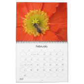 Mikrokosmos Kalender (Feb 2027)