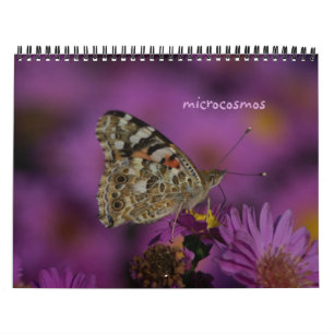 Mikrokosmos Kalender