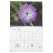 Mikrokosmos Kalender (Jan 2027)