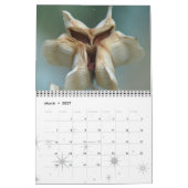 Mikrokosmos Kalender (Mär 2027)