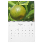 Mikrokosmos Kalender (Feb 2027)