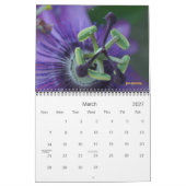 Mikrokosmos Kalender (Mär 2027)