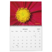 Mikrokosmos Kalender (Jan 2027)