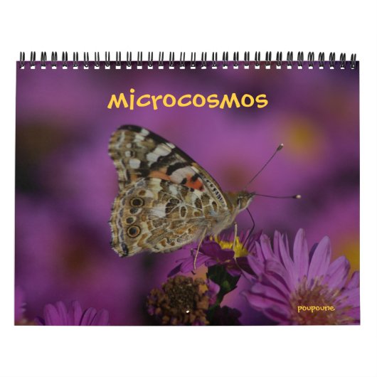 Mikrokosmos Kalender (Titelbild)