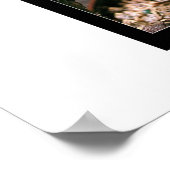 Mikrokosmos Poster (Ecke)