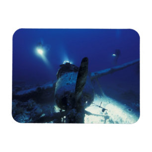 Mikronesien, Palau, Welterbe. Taucher Magnet