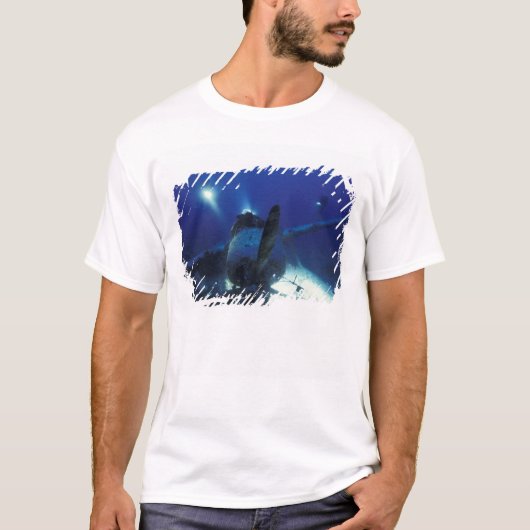 Mikronesien, Palau, Welterbe. Taucher T-Shirt (Vorderseite)
